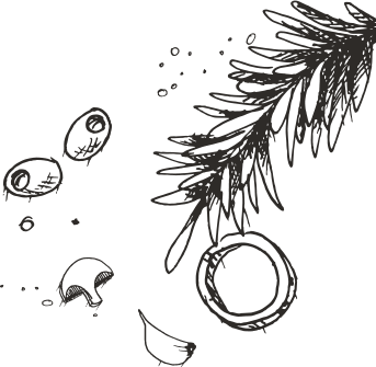 forme décorative
